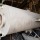 Низкошумный вертикальный глушитель из коррозион. стали АМ.ГН.25В.40-0418-01ГЧ (Ду250 мм) - Промышленные глушители для ДВС "АМодуль", Екатеринбург